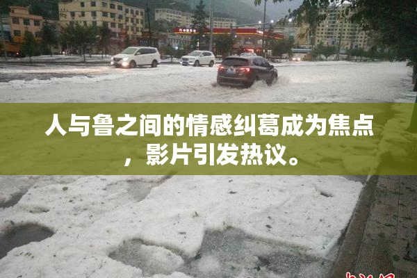 人与鲁之间的情感纠葛成为焦点，影片引发热议。