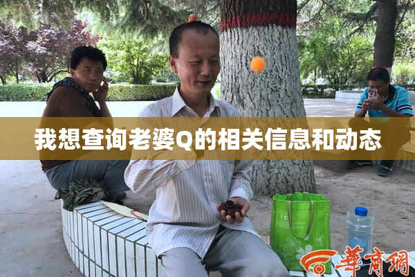 我想查询老婆Q的相关信息和动态
