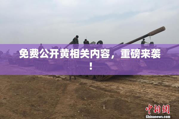 免费公开黄相关内容，重磅来袭！