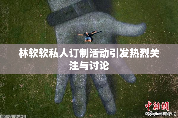 林软软私人订制活动引发热烈关注与讨论