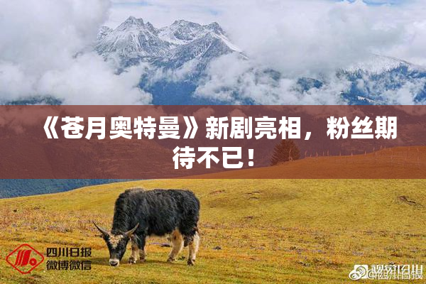 《苍月奥特曼》新剧亮相，粉丝期待不已！