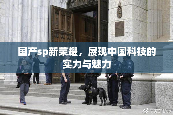 国产sp新荣耀，展现中国科技的实力与魅力