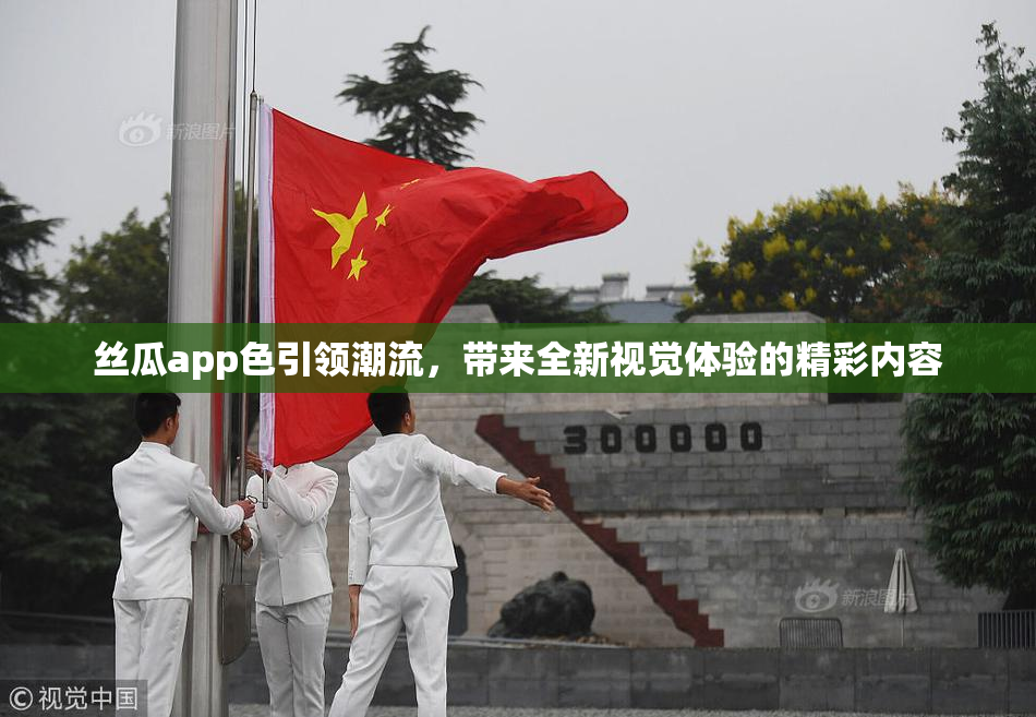 丝瓜app色引领潮流，带来全新视觉体验的精彩内容