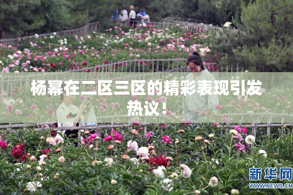 杨幂在二区三区的精彩表现引发热议！