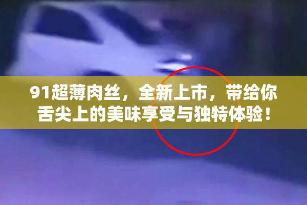 91超薄肉丝，全新上市，带给你舌尖上的美味享受与独特体验！