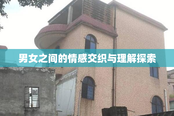 男女之间的情感交织与理解探索