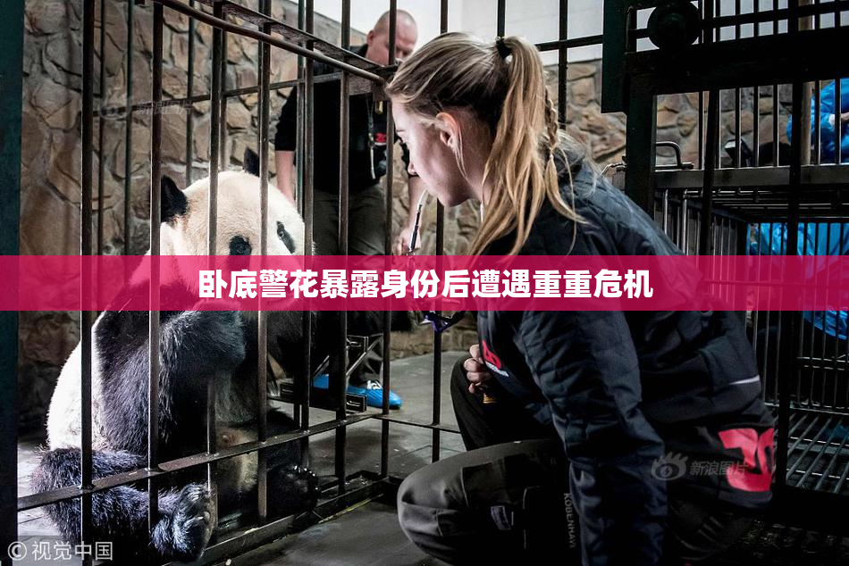 卧底警花暴露身份后遭遇重重危机