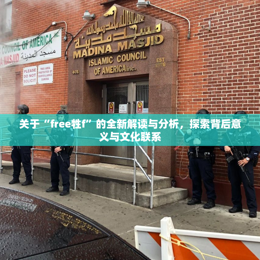 关于“free牲f”的全新解读与分析，探索背后意义与文化联系