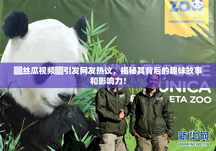 ▓丝瓜视频▓引发网友热议，揭秘其背后的趣味故事和影响力！