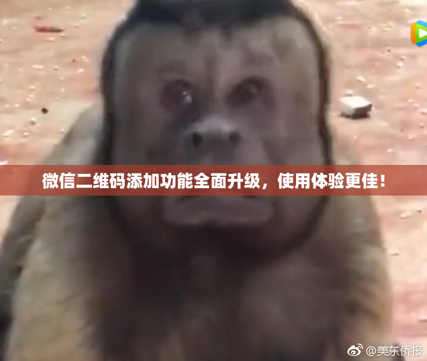 微信二维码添加功能全面升级，使用体验更佳！