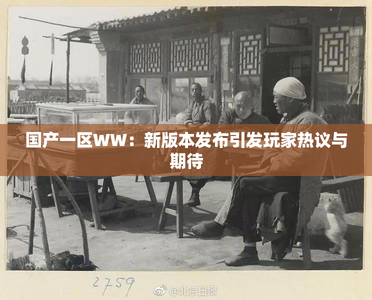 国产一区WW：新版本发布引发玩家热议与期待