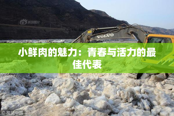 小鲜肉的魅力：青春与活力的最佳代表