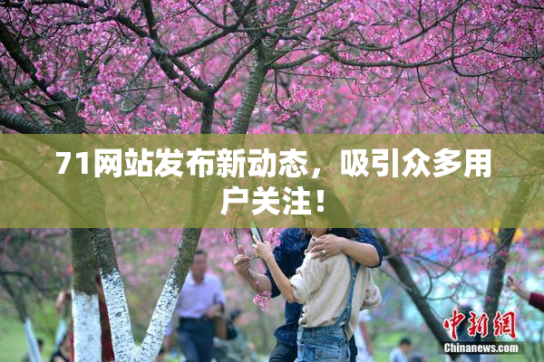 71网站发布新动态，吸引众多用户关注！