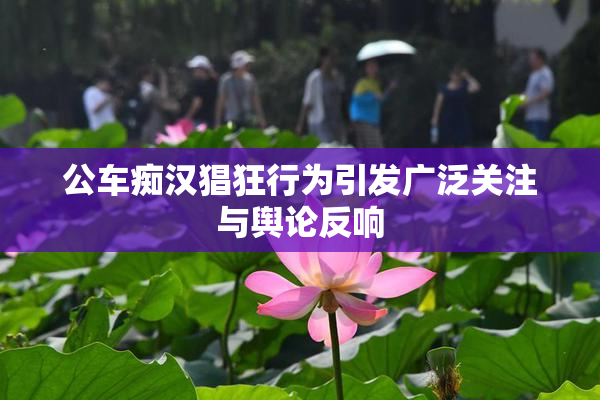 公车痴汉猖狂行为引发广泛关注与舆论反响