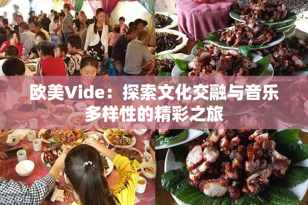 欧美Vide：探索文化交融与音乐多样性的精彩之旅