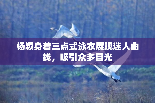 杨颖身着三点式泳衣展现迷人曲线，吸引众多目光