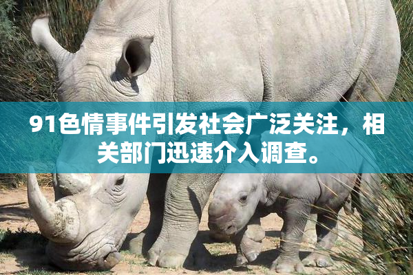 91色情事件引发社会广泛关注，相关部门迅速介入调查。