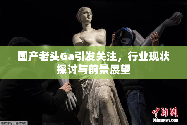 国产老头Ga引发关注，行业现状探讨与前景展望