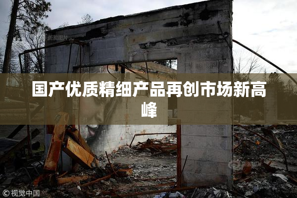 国产优质精细产品再创市场新高峰
