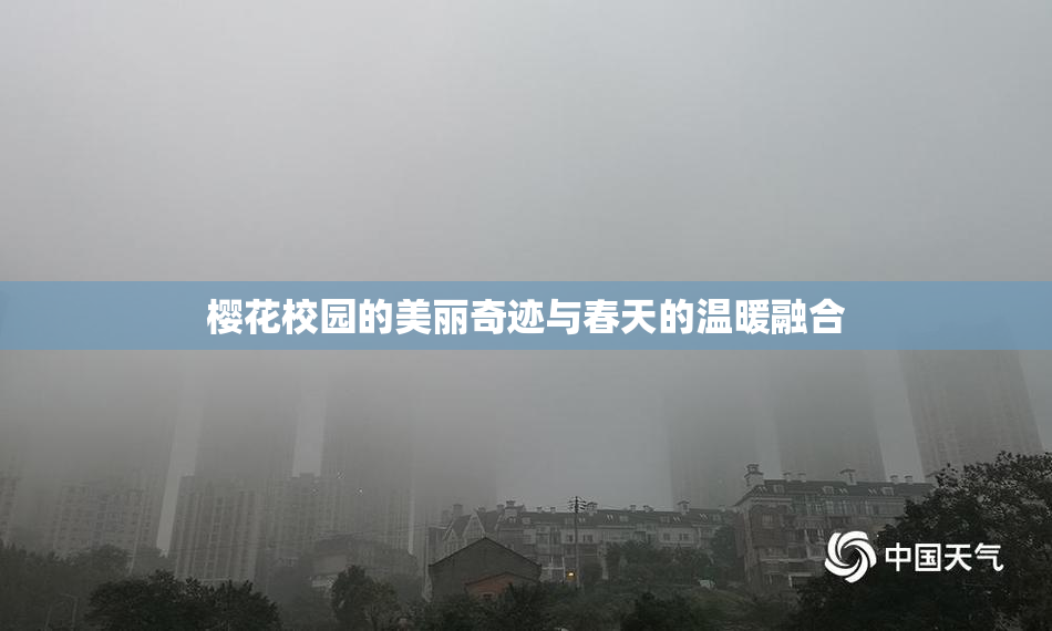 樱花校园的美丽奇迹与春天的温暖融合