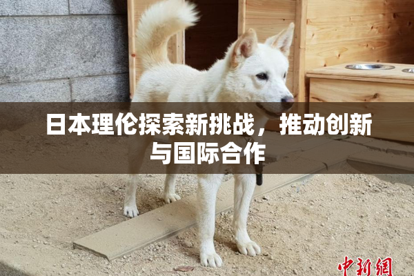 日本理伦探索新挑战，推动创新与国际合作