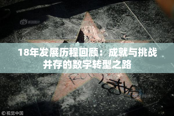 18年发展历程回顾：成就与挑战并存的数字转型之路