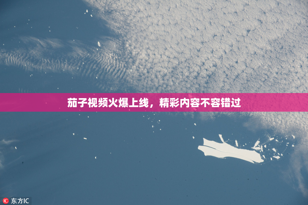 茄子视频火爆上线，精彩内容不容错过