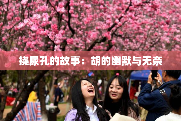 挠尿孔的故事：胡的幽默与无奈