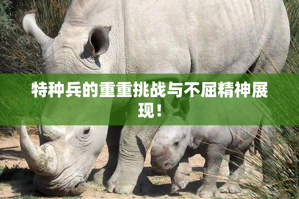 特种兵的重重挑战与不屈精神展现！