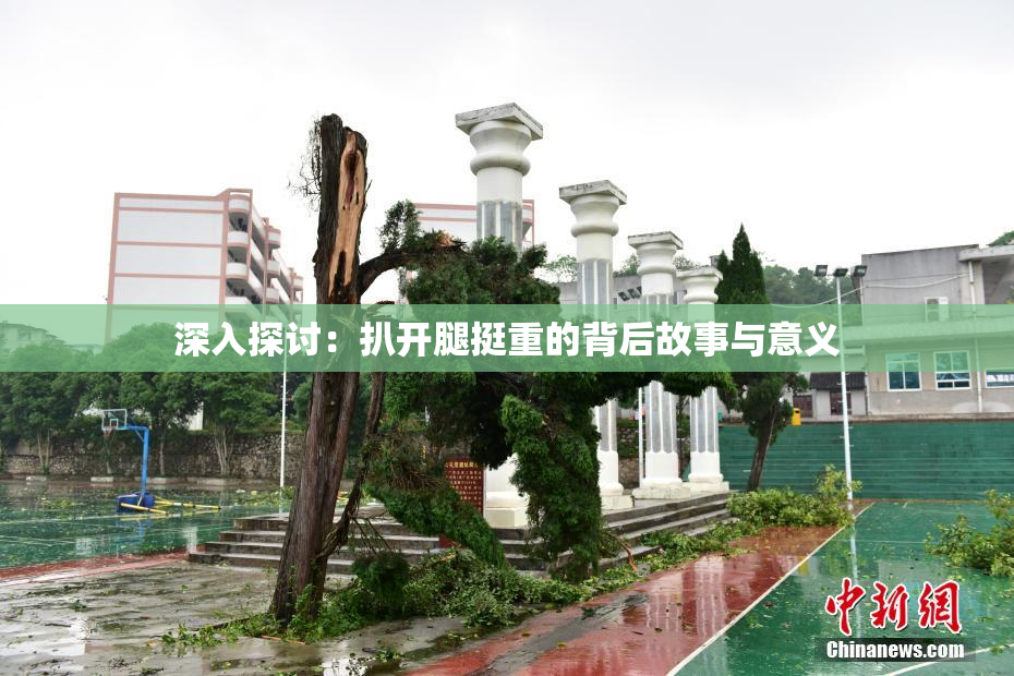 深入探讨：扒开腿挺重的背后故事与意义
