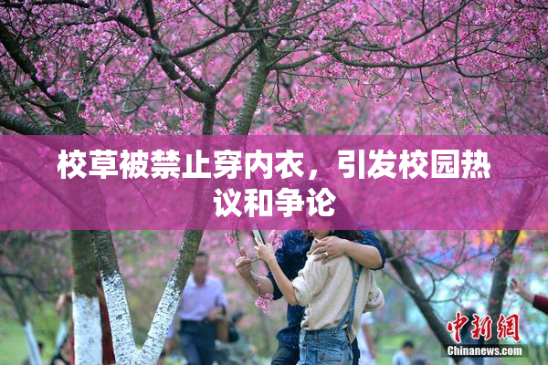 校草被禁止穿内衣，引发校园热议和争论