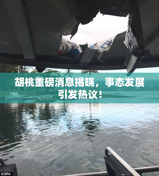 胡桃重磅消息揭晓，事态发展引发热议！