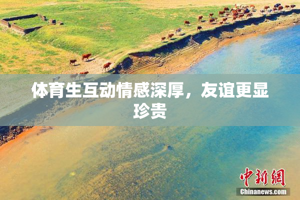 体育生互动情感深厚，友谊更显珍贵