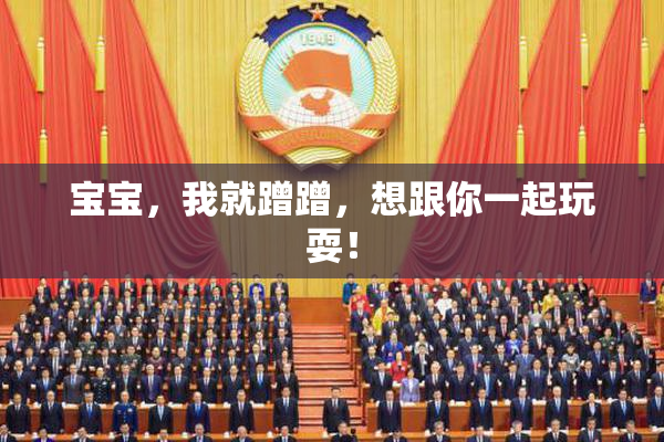 宝宝，我就蹭蹭，想跟你一起玩耍！