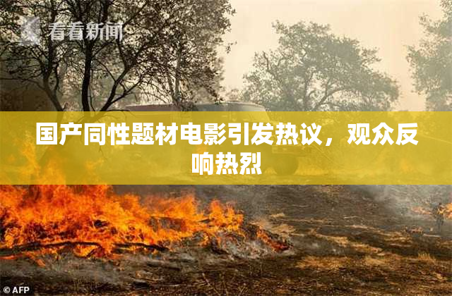 国产同性题材电影引发热议，观众反响热烈