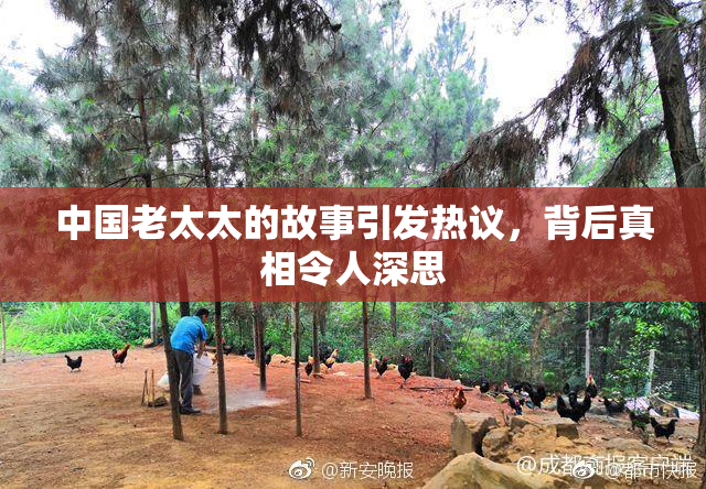 中国老太太的故事引发热议，背后真相令人深思
