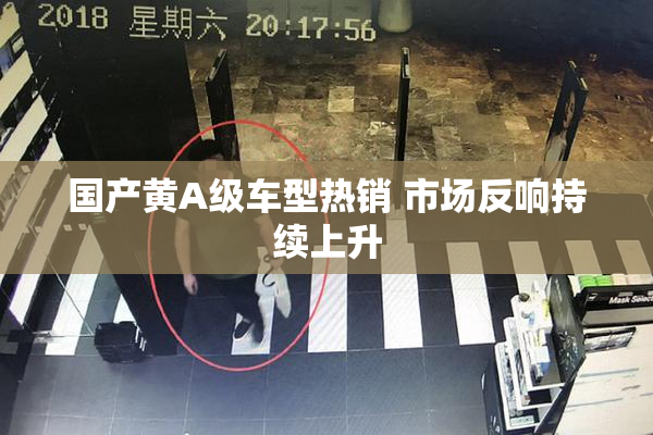 国产黄A级车型热销 市场反响持续上升