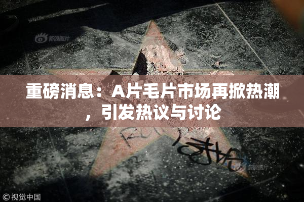 重磅消息：A片毛片市场再掀热潮，引发热议与讨论