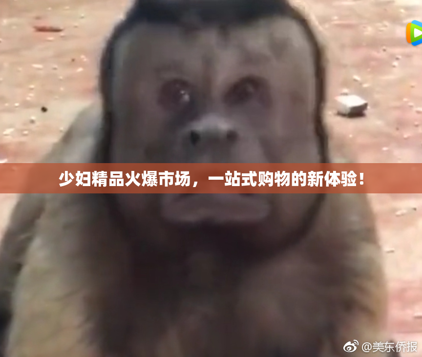 少妇精品火爆市场，一站式购物的新体验！