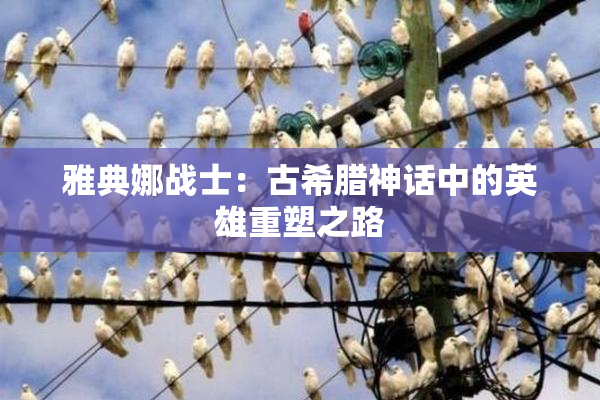 雅典娜战士：古希腊神话中的英雄重塑之路
