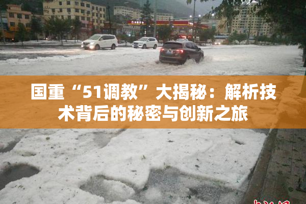 国重“51调教”大揭秘：解析技术背后的秘密与创新之旅