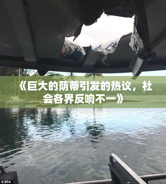《巨大的荫蒂引发的热议，社会各界反响不一》
