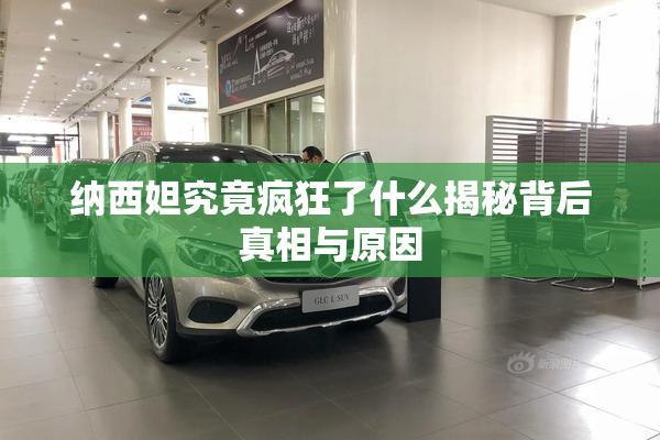 纳西妲究竟疯狂了什么揭秘背后真相与原因