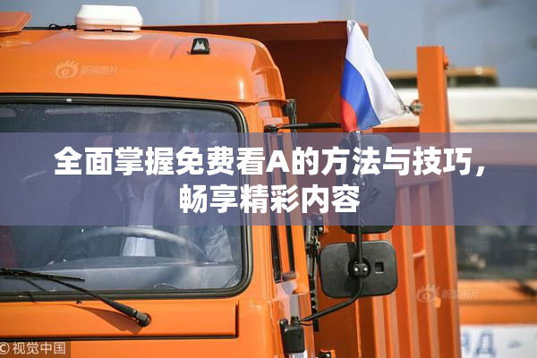 全面掌握免费看A的方法与技巧，畅享精彩内容