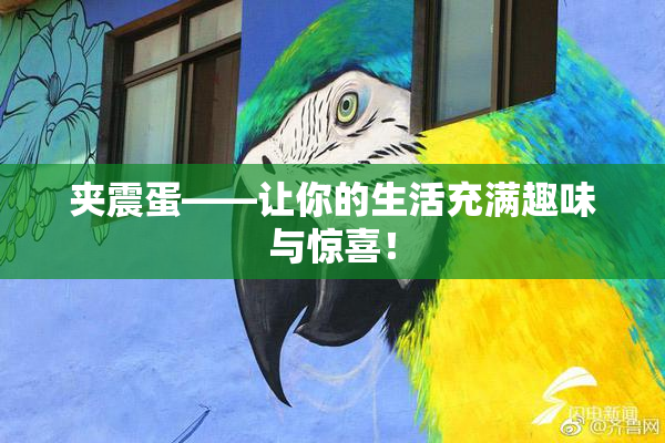 夹震蛋——让你的生活充满趣味与惊喜！