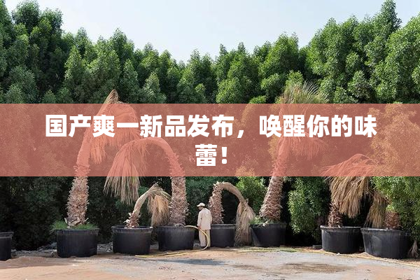 国产爽一新品发布，唤醒你的味蕾！