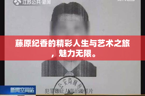 藤原纪香的精彩人生与艺术之旅，魅力无限。