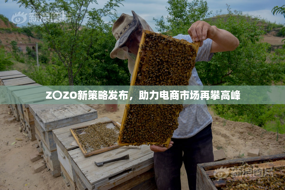 Z〇ZO新策略发布，助力电商市场再攀高峰