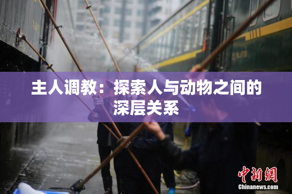 主人调教：探索人与动物之间的深层关系