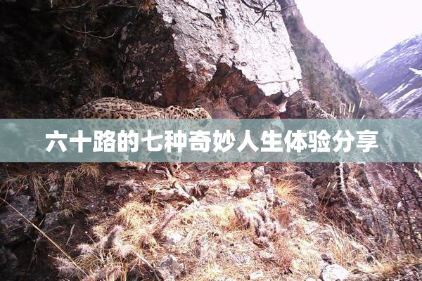 六十路的七种奇妙人生体验分享